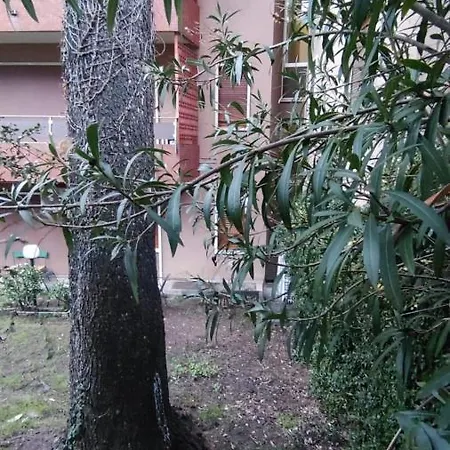 Casa Iris מלון